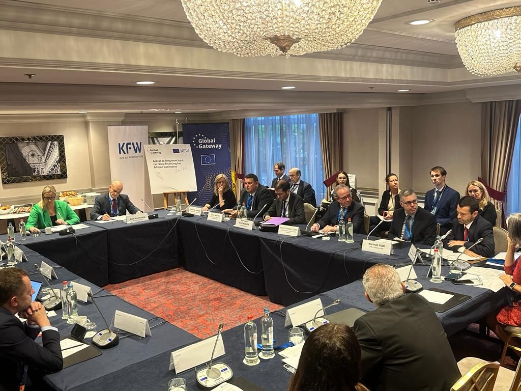 The role of development cooperation in unlocking the full potential of the Global Gateway